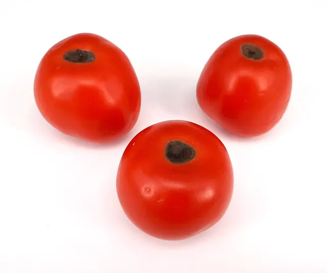 Blossom end rot on tomatoes