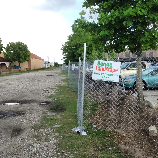 A tree protection fence keeps equipment and soil off the roots during construction